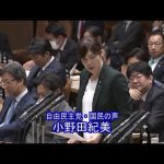 参議院 2020年03月05日 予算委員会 #02 小野田紀美（自由民主党・国民の声）