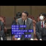 2020年03月19日 財政金融委員会 浜田聡 財務省主税局長 矢野康治氏の税制の考え方、国立大学運営交付金と財務省主計局、中国共産党によるプロパガンダ、等