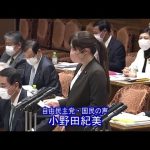 参議院 2022年04月06日 決算委員会 #03 小野田紀美（自由民主党・国民の声）