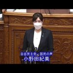 参議院 2022年04月15日 本会議 #03 小野田紀美（自由民主党・国民の声）