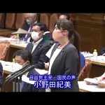 参議院 2022年06月13日 決算委員会 #04 小野田紀美（自由民主党・国民の声）