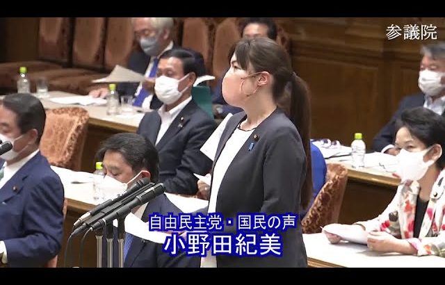 参議院 2022年06月13日 決算委員会 #04 小野田紀美（自由民主党・国民の声）