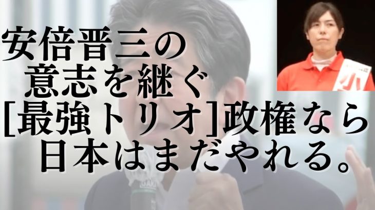 安倍晋三の意志を継ぐ「最強トリオ」政権なら日本はまだやれる。安倍元総理の予言的中。小野田紀美議員圧勝で今後永田町の景色一変？#692（7/11月②）