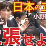 【小野田紀美】NHKの海外への国際放送はどうなってるの？在外邦人をイジメから守れ!!日本から海外へ正しい情報を発信せよ!!国家予算を使ってる意識を持て!!「japanese expatriates」