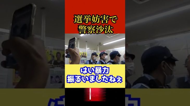 【逮捕】ガーシーの顔に落書きした奴を現行犯逮捕しました【NHK党】立花孝志の落ち着きと劇場型選挙演説　#shorts