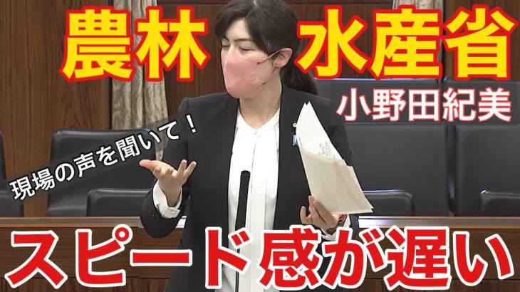 【小野田紀美】現場からの声に耳を向けて!輸出の為に必要な国からの情報発信「スピード感が遅い…」の声も。発信元の更なる改善を求める!![japanese exports]