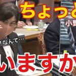 【小野田紀美】逆に市民生活が不便に!!プラ規制本当に削減効果はあったの？何の為の規制なの？レジ袋貰えないなら自分で買いますじゃあ本当の目的見失ってませんか？[plastic regulation]