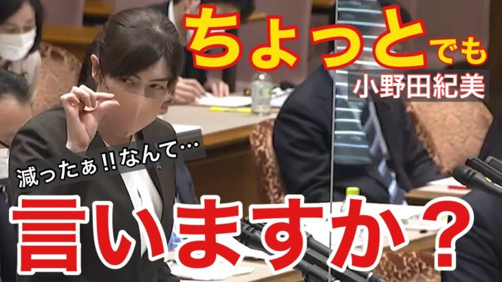 【小野田紀美】逆に市民生活が不便に!!プラ規制本当に削減効果はあったの？何の為の規制なの？レジ袋貰えないなら自分で買いますじゃあ本当の目的見失ってませんか？[plastic regulation]