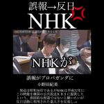 小野田紀美「日本の尊厳と国益を守るため」NHKを批判