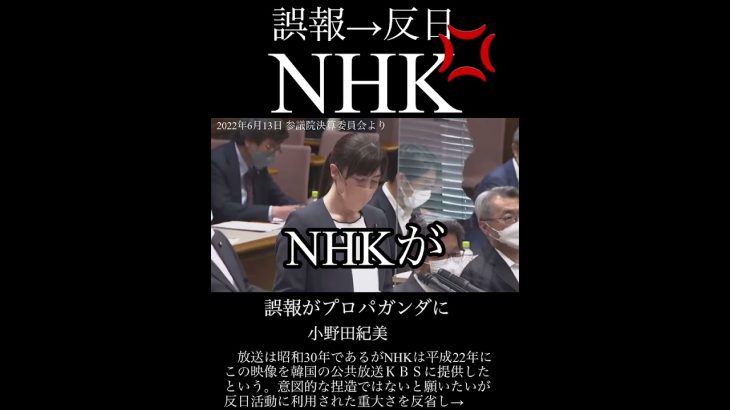 小野田紀美「日本の尊厳と国益を守るため」NHKを批判