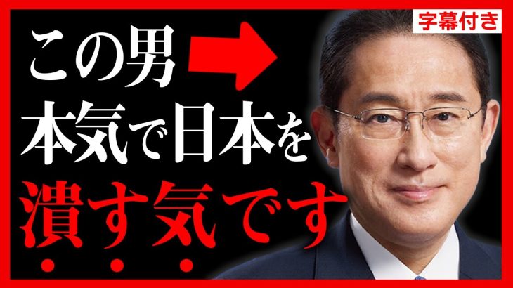 【参政党】議員秘書の深刻な闇を暴露します。国会に出入りして原因が分かりました。長男を秘書官にする岸田総理…藤村晃子 【上海電力 橋下徹 れいわ新撰組 神谷宗幣】【字幕テロップ付き 切り抜き】