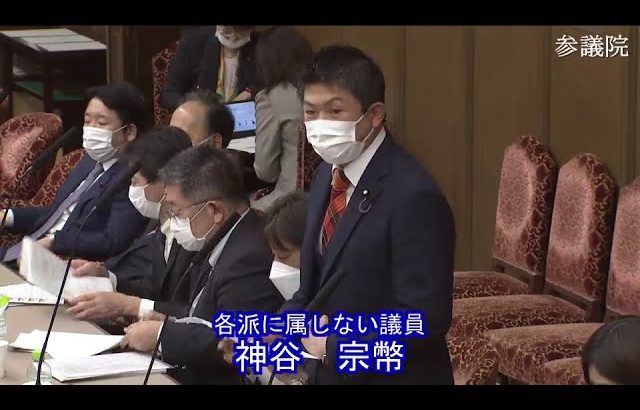 参議院 2022年11月01日 財政金融委員会 #11 神谷宗幣（各派に属しない議員）