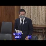 参議院 2022年11月01日 総務委員会 #11 浜田聡（NHK党）