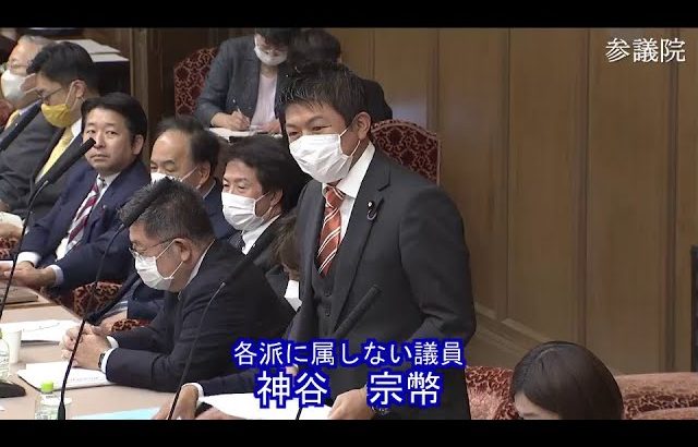 参議院 2022年11月10日 財政金融委員会 #10 神谷宗幣（各派に属しない議員）