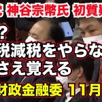 【参政党】神谷宗幣氏 初質疑！何故？消費税減税をやらない！怒りさえ覚える 参議院 財政金融委員会 2022年11月1日【龍之介channel（高倉龍之介）】