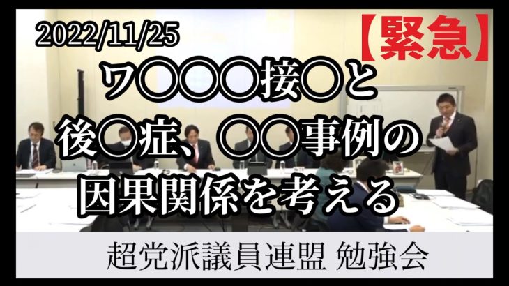 【参政党】神谷宗幣　2022年11月25日　超党派議員連盟　勉強会　参議院　参議院議員　国会議員　国政政党