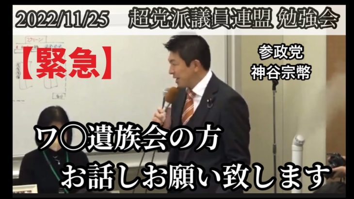 【参政党】神谷宗幣　2022年11月25日　超党派議員連盟　勉強会　ワ遺族会　参議院　参議院議員　国会議員　国政政党