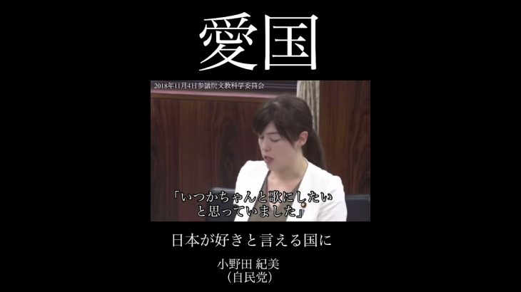 小野田紀美「日本が好きと言える国に」愛国心を批判する炎上に苦言！