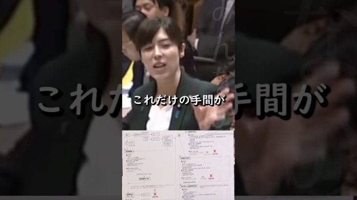 【小野田紀美】今の日本で養育費を請求するには膨大な書類と費用と手間がかかる【国会】【切り抜き】#short