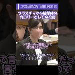 【小野田紀美 自民党】プラスチックごみの焼却時のカロリーとしての役割【国会中継切り抜き】#short