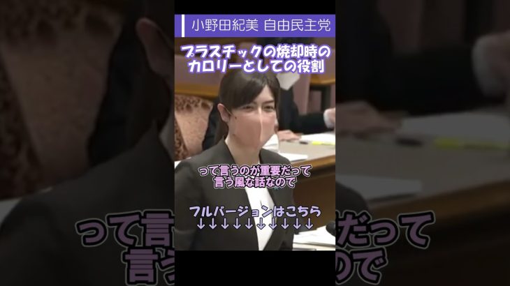 【小野田紀美 自民党】プラスチックごみの焼却時のカロリーとしての役割【国会中継切り抜き】#short