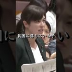 【小野田紀美】私の父も養育費をくれませんでした！だからこそ訴えるハーグ国際扶養条約の重要性【国会】【切り抜き】#short