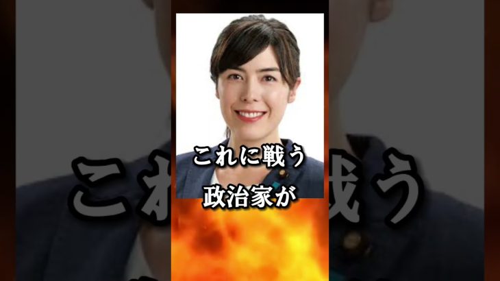 【小野田紀美】外国人の生活保護受給がヤバすぎる！【岸田文雄、自民党、増税】#shorts