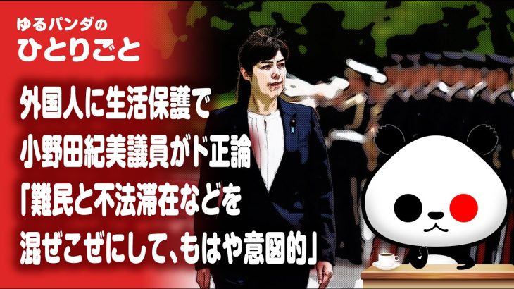 ひとりごと「外国人生活保護に関し小野田紀美議員『日本で働きたいから等は難民ではない』」