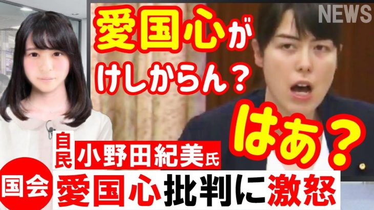 小野田紀美が『愛国心』を批判する勢力に激怒！「日本が好きと言える国に」「愛国心が悪いとか意味が分からない」素晴らしい正論 自民党 小野田紀美 さくらニュース