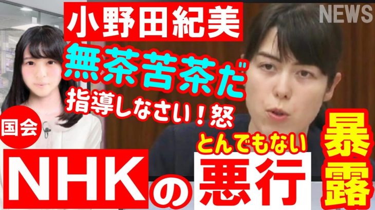 国会 自民 小野田紀美がNHKの『とんでもない悪行』を暴露！「こんな無茶苦茶な取り立てが」「払えよ！ばかり」「産経の調査によると、スクランブル化を..」「総務省しっかり指導せよ！」