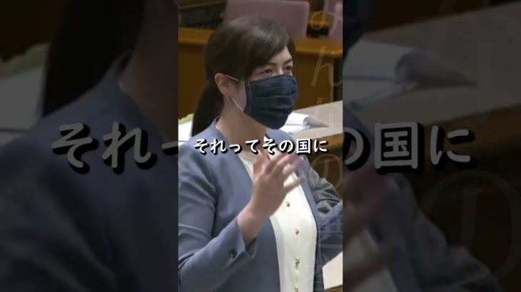 【小野田紀美】国に帰れるか帰れないかで決めて！新型コロナによる滞在許可延長の可否【国会】【切り抜き】#short