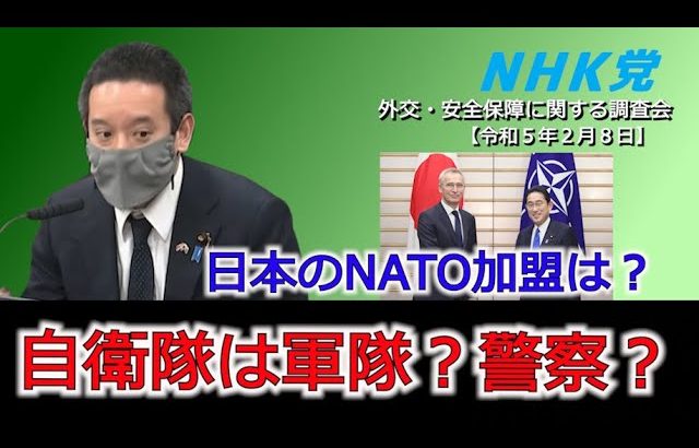 自衛隊のあり方（警察？軍隊？）、日本のNATO加入について参考人に質問しました　令和5年2月8日 参議院 外交・安全保障に関する調査会