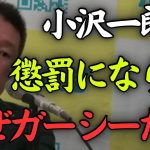 「なぜガーシーだけ陳謝？小沢一郎も国会欠席してるのに」という声について立花孝志が回答【NHK党 立憲民主党 懲罰委員会】