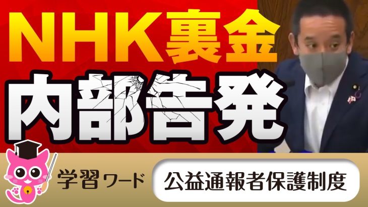 NHKの裏金を内部告発！【NHK党 浜田聡】【国会中継】