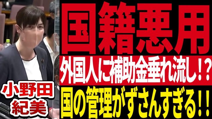 【小野田紀美】外国人に日本の血税が垂れ流されている！？国の管理はどうなってるんだ！