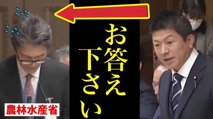 【参政党】神谷宗幣がまたやってくれた！昆虫食の危険性と推進理由を農林水産省に問い詰めた結果…/ 酪農問題とカジノのマネーロンダリング問題にも斬り込む！/ 財政金融委員会 国会答弁 2023/3/30