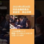 参政党　神谷宗幣　財政金融委員会　2023年3月30日