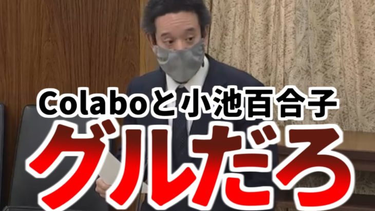 【浜田聡】「Colaboと小池百合子はズブズブです」都民ファーストの監査がザル！またブチかました！【2023年3月9日参議院総務委員会　ハーシー砲 政治家女子48党 NHK党】