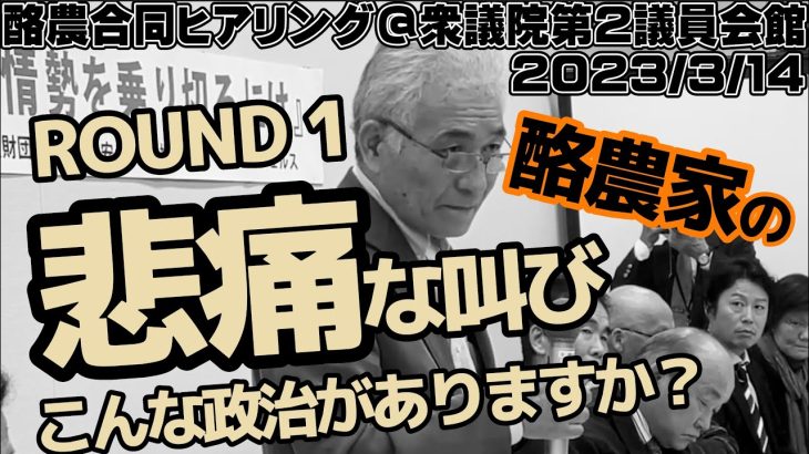 【参政党】神谷宗幣 酪農合同ヒアリング  ROUND 1