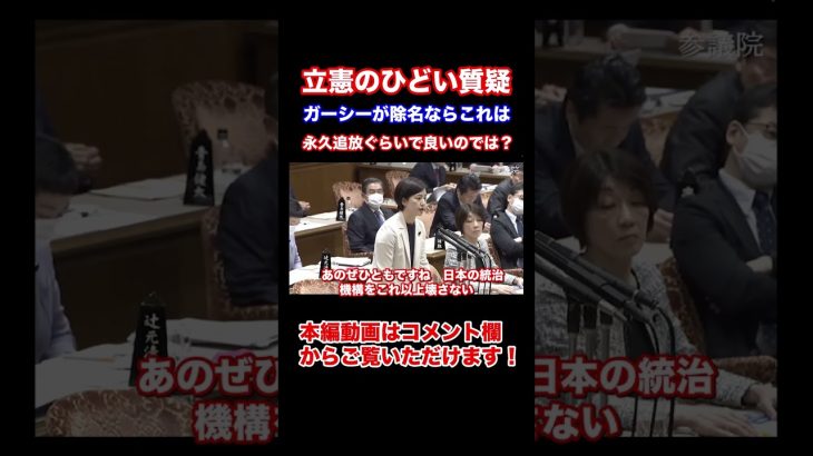 『字幕付き』政治家女子４８党浜田参議院議員もウンザリ　立憲民主党石垣のりこ議員の意図的な切り取り発言に高市早苗大臣速攻で反撃　こんな国会議員いらん！ガーシーが除名ならこれは永久追放だろ！#Shorts