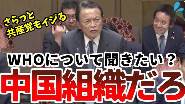 【浜田聡】「官僚にゃァ答えられねェよ。俺が出る」突如現れWHOをボロクソに言う麻生太郎閣下に新人時代の浜田聡タジタジ！【2020年03月26日 財政金融委員会】