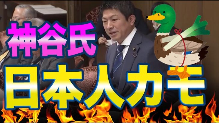 参政党の神谷宗幣氏「日本人が世界でカモにされてる！」