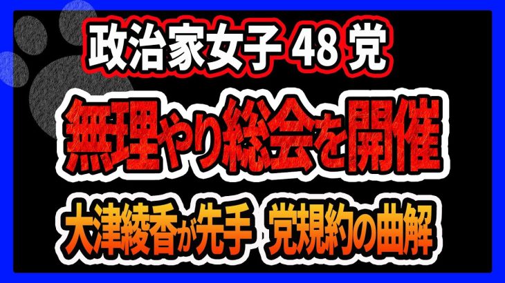 【政治家女子48党】立花孝志派（旧NHK党）が臨時総会を開催し代表を斎藤健一郎氏に議決するも、総会の開催が党規約の曲解すぎて無理がある件 大津綾香の先手が効いている