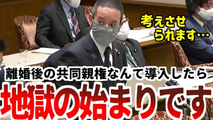 【浜田聡】共同親権の導入は離婚親に地獄をもたらす？浜田聡だから聞けた問題！【2022年2月9日参議院国民生活・経済に関する調査会】