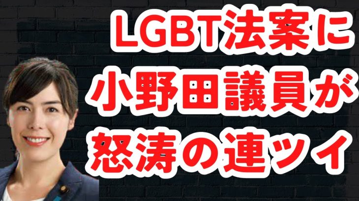 強行突破のLGBT法案に小野田紀美議員が怒涛の連ツイ！蛮行止めることができるかもしれない「最後の人」とは？#990（5/15月②）