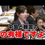 【小野田紀美が斬る】これでは切なくなる！自国民より外国人に７倍も優遇してしまう制度に物申す！！