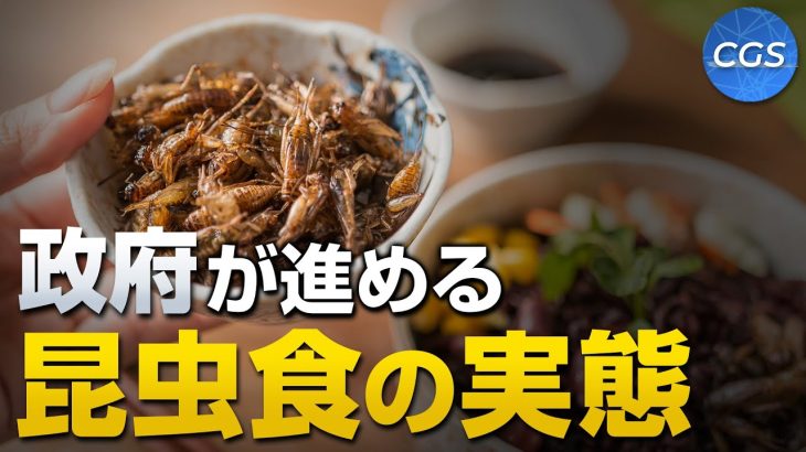 政府が進める昆虫食の実態｜山岡鉄秀