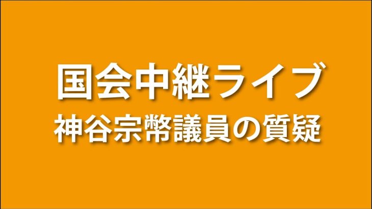 【本日の国会】神谷宗幣議員の質疑【2023.6.6 財政金融委員会 外交防衛委員会 連合審査会】