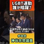 【LGBT運動を仕掛ける組織とは】参政党・神谷宗幣議員