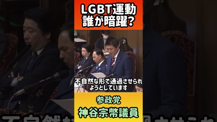 【LGBT運動を仕掛ける組織とは】参政党・神谷宗幣議員